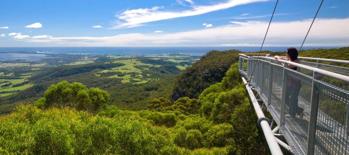 Illawarra Fly Treetop Walk Entry