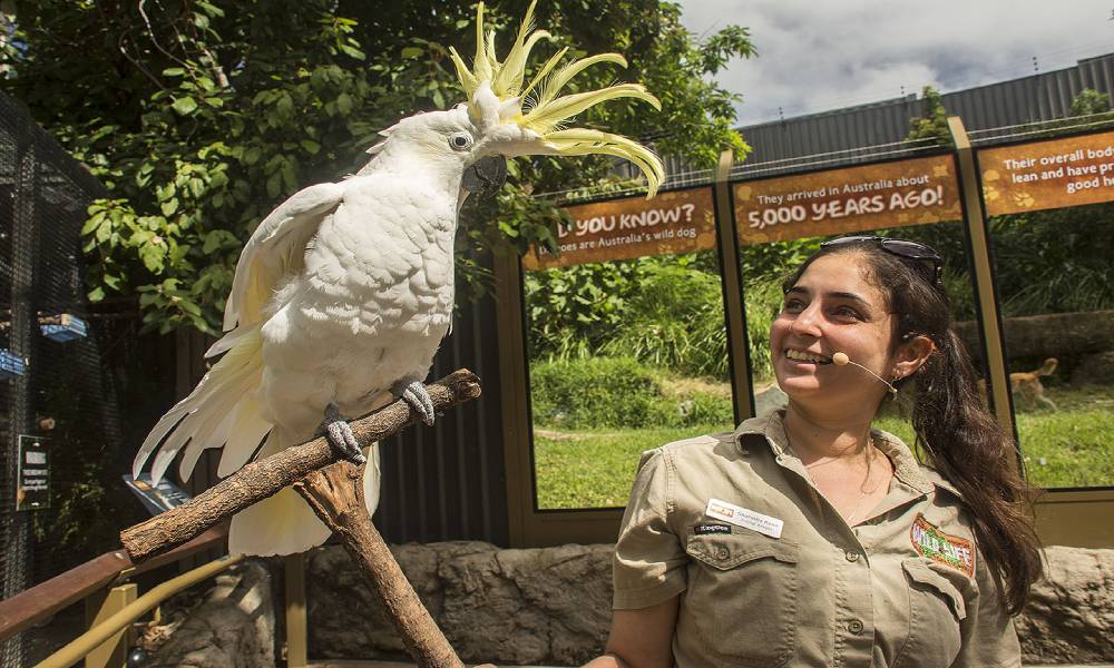 WILD LIFE Sydney Zoo Entry Tickets