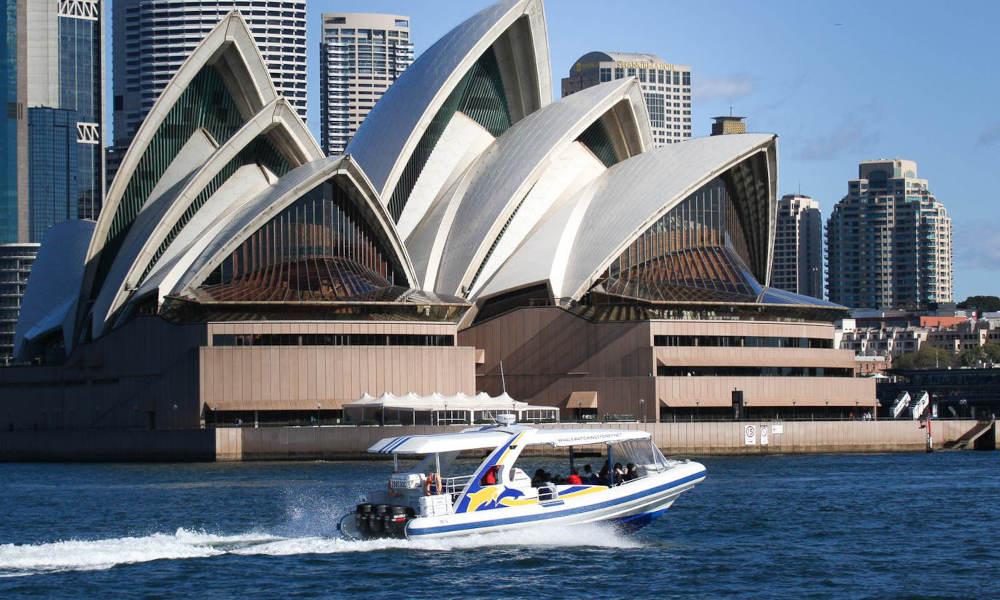 Sydney Whale Watching Adventure Cruise - 2.5 Hours