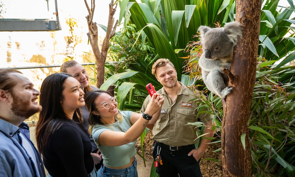 WILD LIFE Sydney Behind the Scenes Tour - 60 Minutes