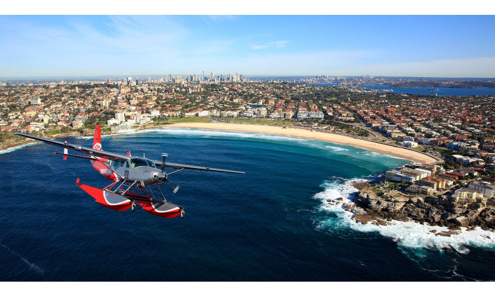 Beach Picnic on Shark Island including Seaplane Flight