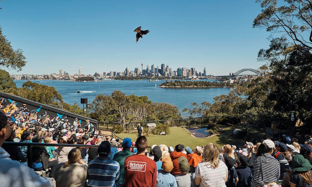 Taronga Zoo Sydney General Admission Tickets