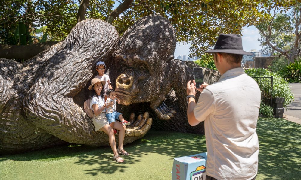 Taronga Zoo Entry and 1-Day Harbour Ferry Pass