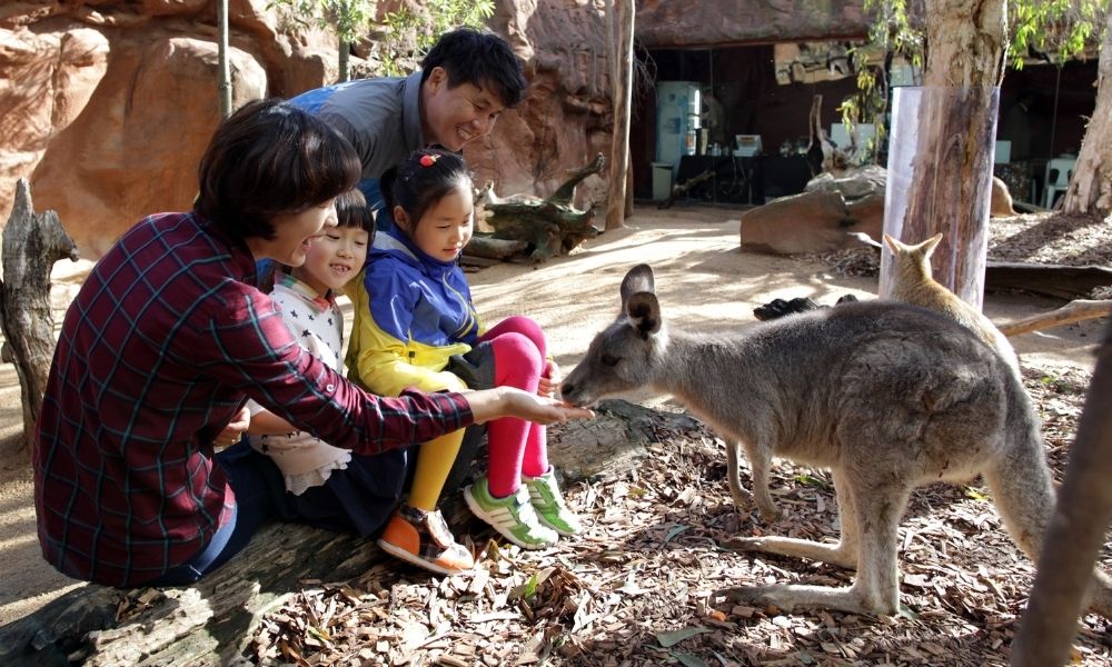 Wild Life Sydney Zoo Buy One Get One Free Offer