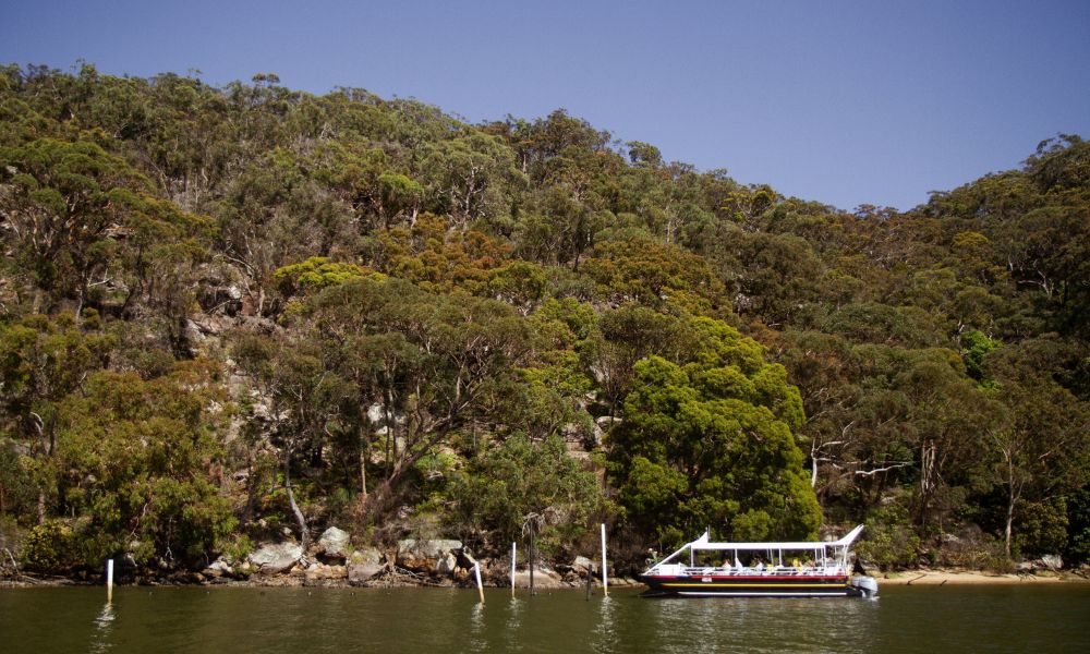 Broken Bay Pearl Oyster Farm Cruise - 1 Hour