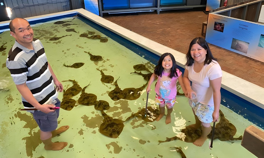 Port Stephens Shark, Ray and Reptile Encounter